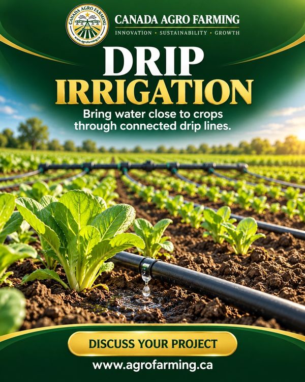 Drip irrigation in Ontario, Canada Agro Farming. Assess crop suitability, water requirements, costs