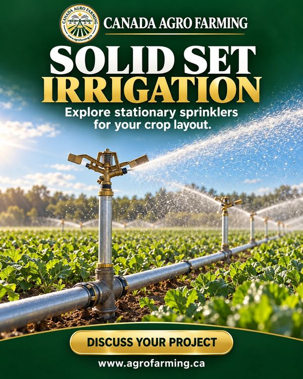 Solid set irrigation in Ontario with Canada Agro Farming. Sprinkler layouts, water source, costs